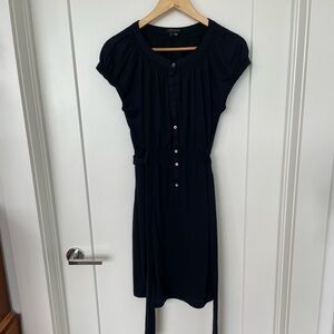 Navy Blue Theory Dress